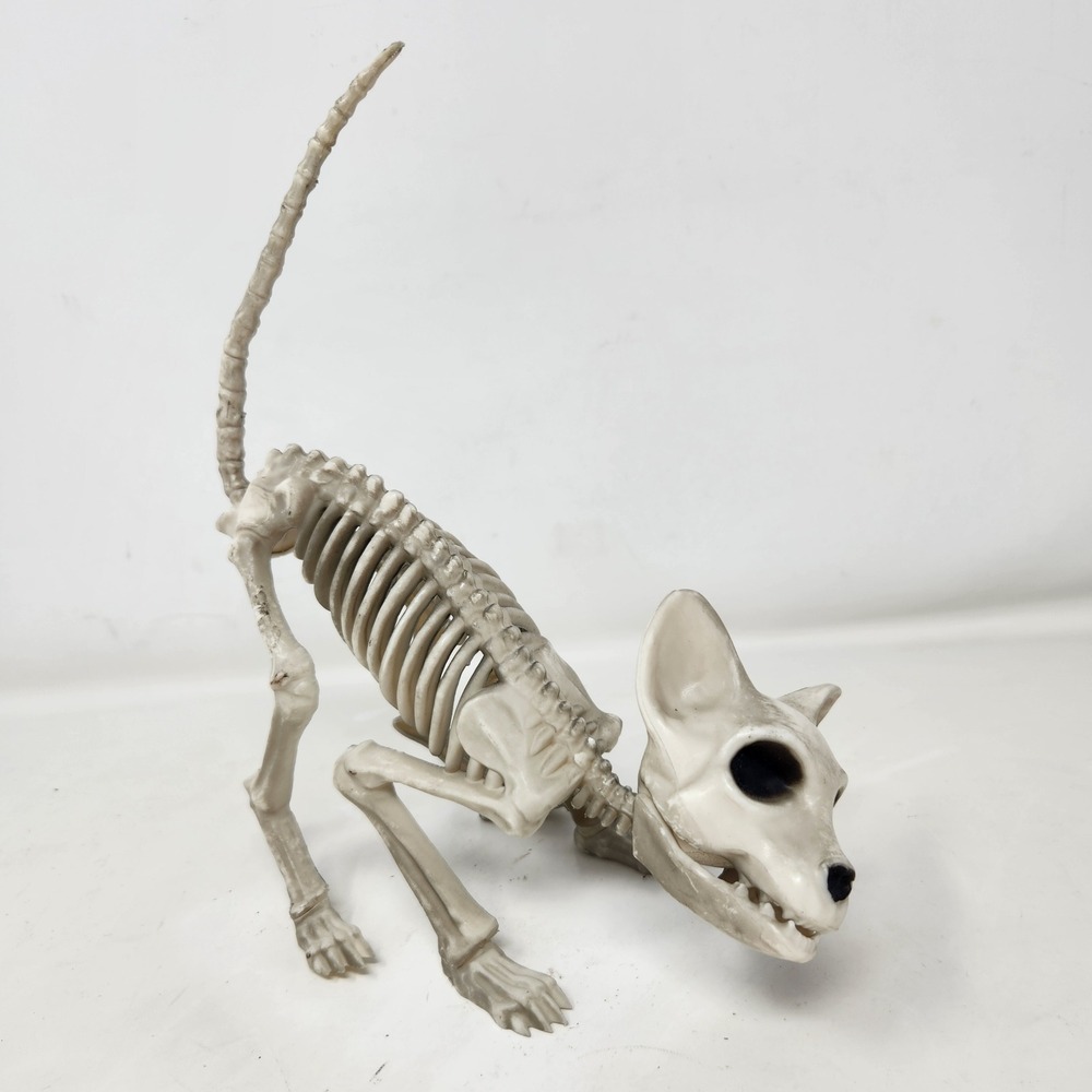 Seasons Halloween Cat Skeleton Prop Posable Tail Movable Jaw Spooky Decor